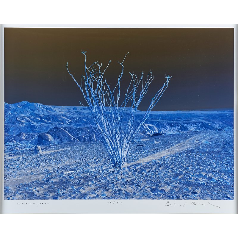 Richard Misrach (American, b. 1949): Untitled, 2008; Archival pigment print (framed); Signed, dated and numbered 28/30; 21 1/2" x 29" (image); 24" x 30" (sheet); Provenance: Private Collection, New York