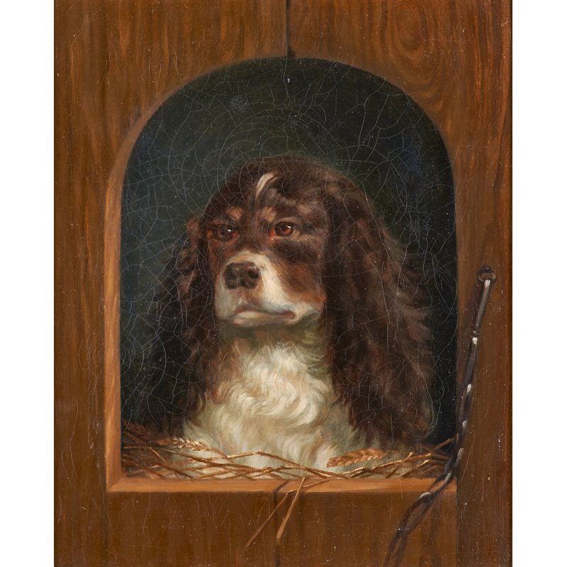 20TH C. BRITISH SCHOOL PORTRAIT OF DOG: Oil on canvas of spaniel (framed); 15 1/2" x 12 1/2"