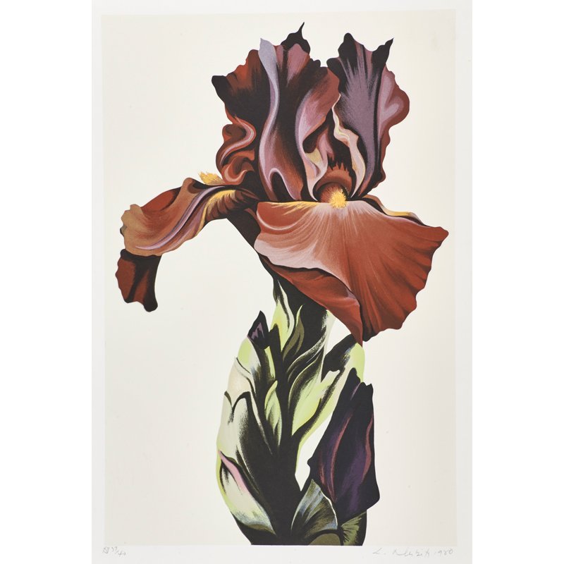 LOWELL NESBITT (American, 1933-1993): Screenprint in colors on paper; "Iris", 1980; Signed, dated and numbered AP 37/40; 36 5/8" x 26" (sheet)