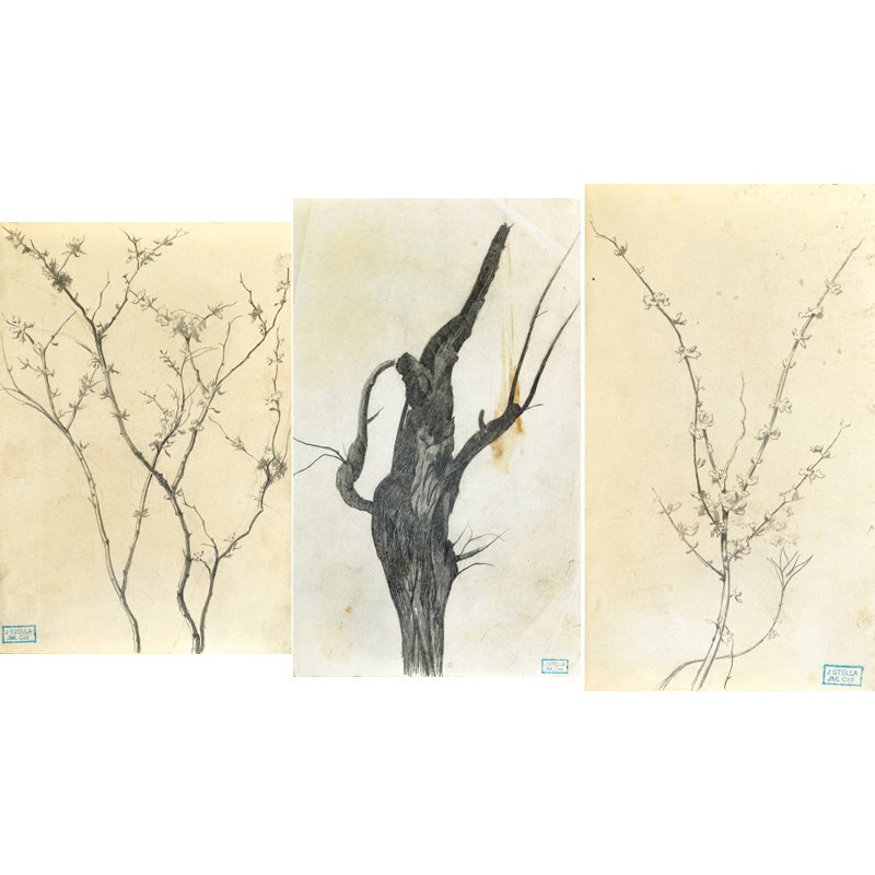 Joseph Stella (American, 1877-1946) Three Works: Untitled (Trees); Three graphite on paper; Each has an Estate stamp; 8" x 5" (sheet); 6" x 4" (sheet); 5 7/8" x 3 3/8" (sheet); Provenance: Giovanni Stella, M.D. (the brother of the artist); Mrs. Giov