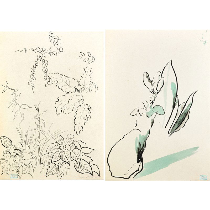 Joseph Stella (American, 1877-1946) Two Works: Untitled (Botanicals); Two ink and wash on paper; Both have Estate stamp, one is signed and dated; 9 3/4" x 6 3/4" (sheet, each); Provenance: Giovanni Stella, M.D. (the brother of the artist); Mrs. Gi