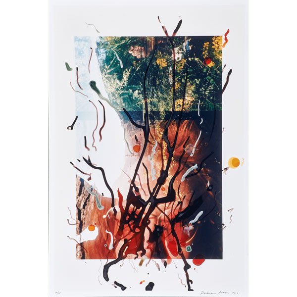 REBECCA HORN (German, b. 1944): Two chromogenic prints on Kodak paper; "Zenith of the Ocean II" from Doctor's of the World Portfolio, 2007, signed, dated and numbered 19/25; Untitled, 2007, signed, dated and numbered 10/15; Larger: