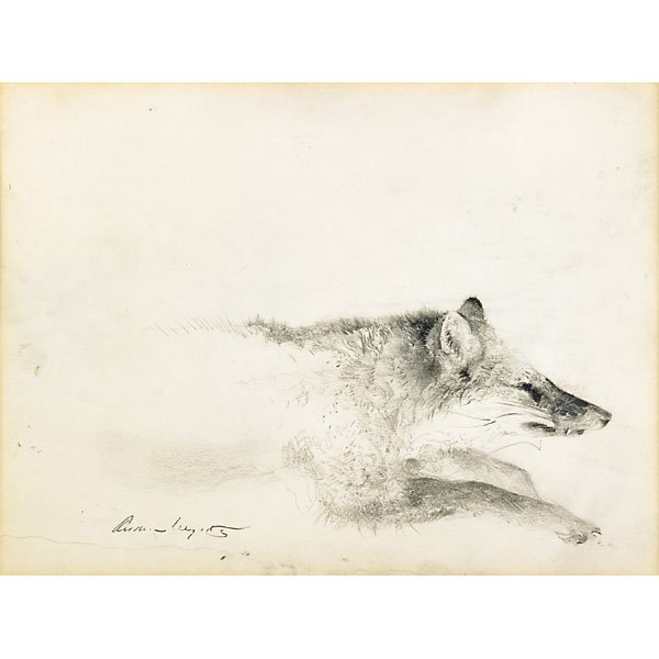 Andrew Wyeth (American, 1917-2009): Fox, 1957; Pencil on paper (framed); Signed and dated; 8 5/8" x 11 5/8" (sheet); Provenance: Nicholas Wyeth, Inc., New York (label on verso); Private Collection, New Jersey