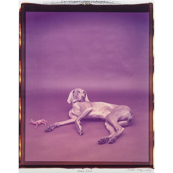 William Wegman (American, b. 1943): Head Shot, 1987; Unique color Polaroid (framed); Signed, dated and titled; 27 1/4" x 21 1/4" (sight); Provenance: Private Collection, Florida