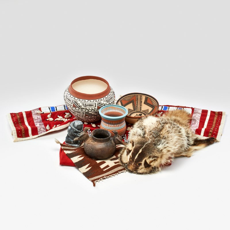 NATIVE AMERICAN (1 of 1)