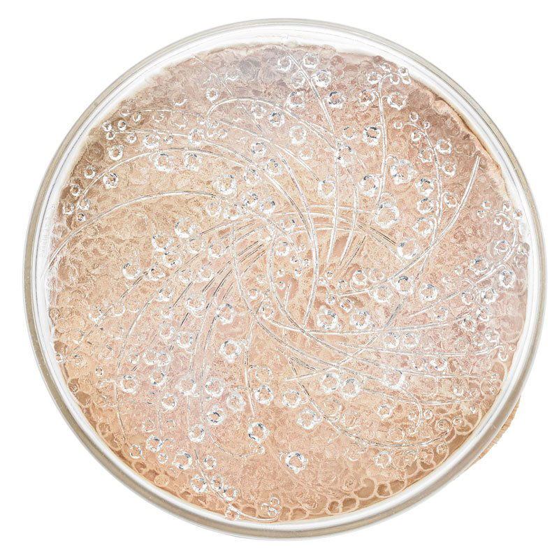 LALIQUE "Muguets" box (1 of 2)