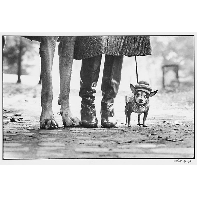 Elliott Erwitt (American, b. 1928) (1 of 2)