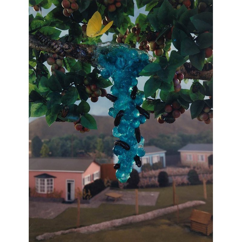 Gregory Crewdson (American, b. 1962): Untitled, from Natural Wonder, 1992; Color coupler print (framed); From an edition of 6; 35 1/2" x 27 1/2" (sight); Provenance: Private Collection, New York