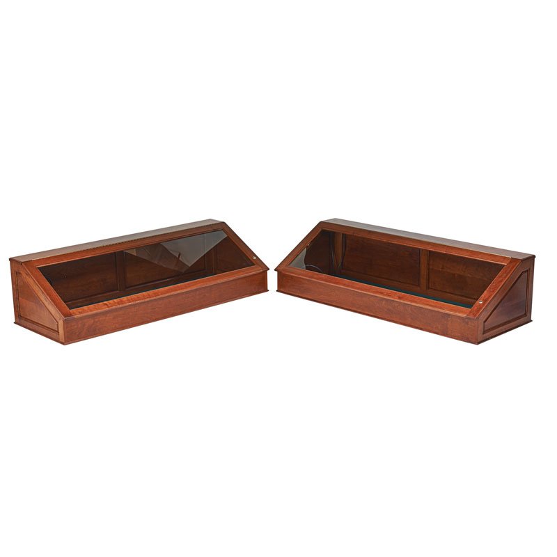 ILLUMINATED TABLE-TOP VITRINES (1 of 1)