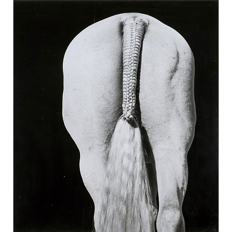 Steven Klein (American, b. 1965): Centurian 02 (White Braided Tail), 2006; Gelatin silver print (artist frame); Initialed and dated on frame; 59 1/2" x 47 1/2" (sight); Provenance: Private Collection, New York