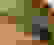item-49127632=4
