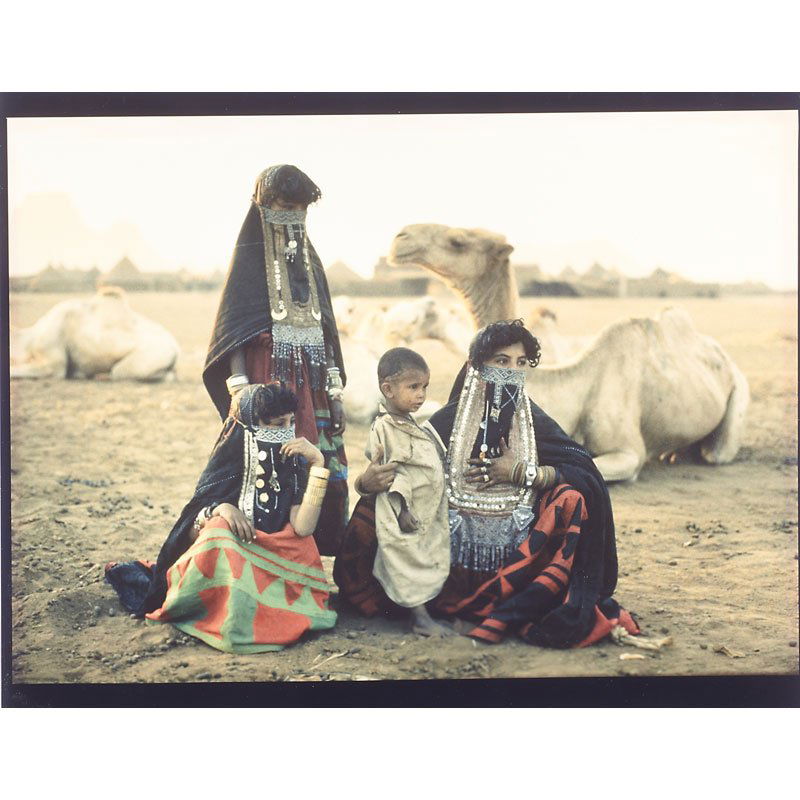 ANGELA FISHER (Attr.) (Australian, b. 1947) (1 of 7)