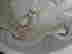 item-131616292=6