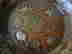 item-131672717=3