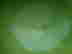 item-131680061=5