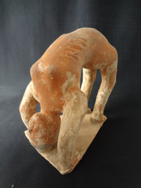 A Very Rare Han Dynasty Naked Pottery Female Athlete: Han Dynasty (206 BC-AD220). A lively made naked female athlete forming a bridge with ribs showing. The body parts were made in the right proportion. L 6.25 in., H 6.75 in.