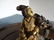 Gilt Bronze Immortal Figure with deer - 2