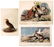 JOHN J. AUDUBON (AMERICAN 1785-1851), LOT (3)