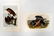 JOHN J. AUDUBON (AMERICAN 1785-1851), LOT (2) OCTAVO