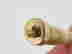 item-55570937=4