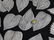 SURVING STUDIO'S HIGH RELIEF CERAMIC TILES, LOT (7) - 2