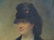 AMERICAN SCHOOL (19/20TH CENTURY), OIL ON CANVAS, YOUNG - 2