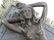 EROTIC VIENNA BRONZE, HAREM GIRL, SIGNED. HEIGHT - 4