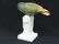 NYMPHENBURG PORCELAIN DECORATED GREEN PARROT. HEIGHT - 2