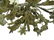 PAIR FRENCH STYLE FLORAL-FORM CHANDELIERS. HEIGHT 23"; - 2