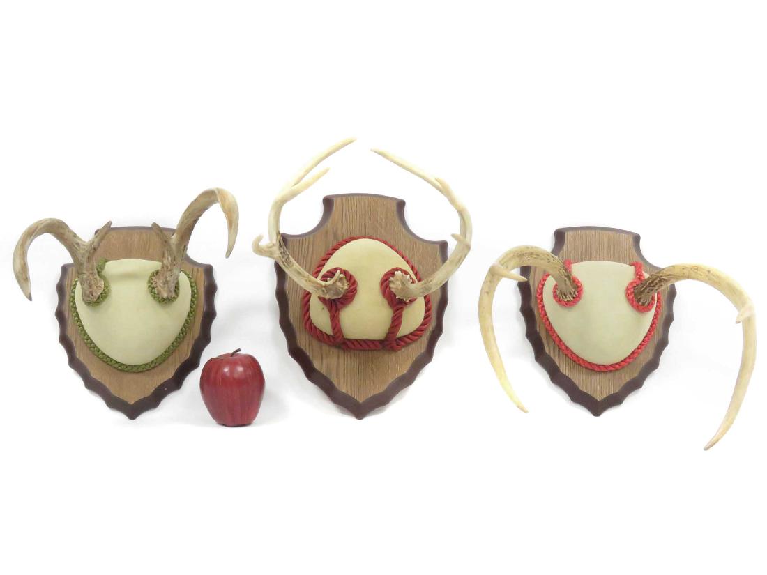 LOT (3) ASSORTED DEER ANTLER TROPHY MOUNTS. HEIGHT (1 of 2)