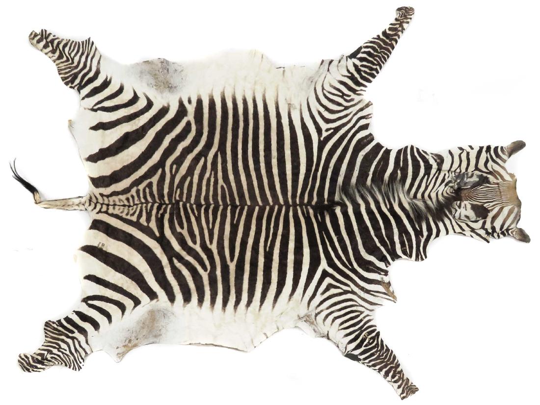 BURCHELL/PLAINS ZEBRA SKIN RUG. 6 X 9' (1 of 2)
