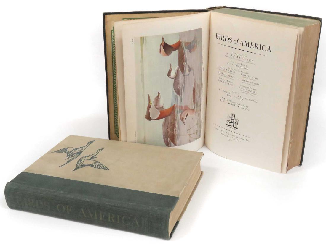 LOT (2) VOLUMES-BIRDS OF AMERICAN, PEARSON/BURROUGHS, (1 of 3)