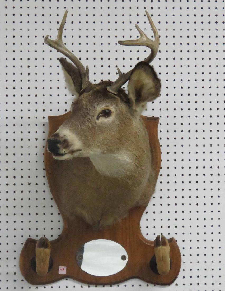 7-POINT DEAR HEAD PLAQUE WITH MIRROR AND HOOF GUN RACK: 7-POINT DEAR HEAD PLAQUE WITH MIRROR AND HOOF GUN RACK