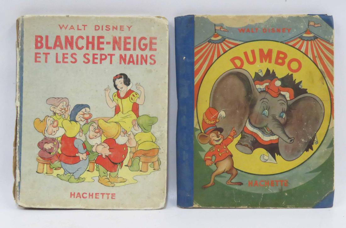 LOT (2) VINTAGE WALT DISNEY VOLUMES INCLUDING SNOW (1 of 2)