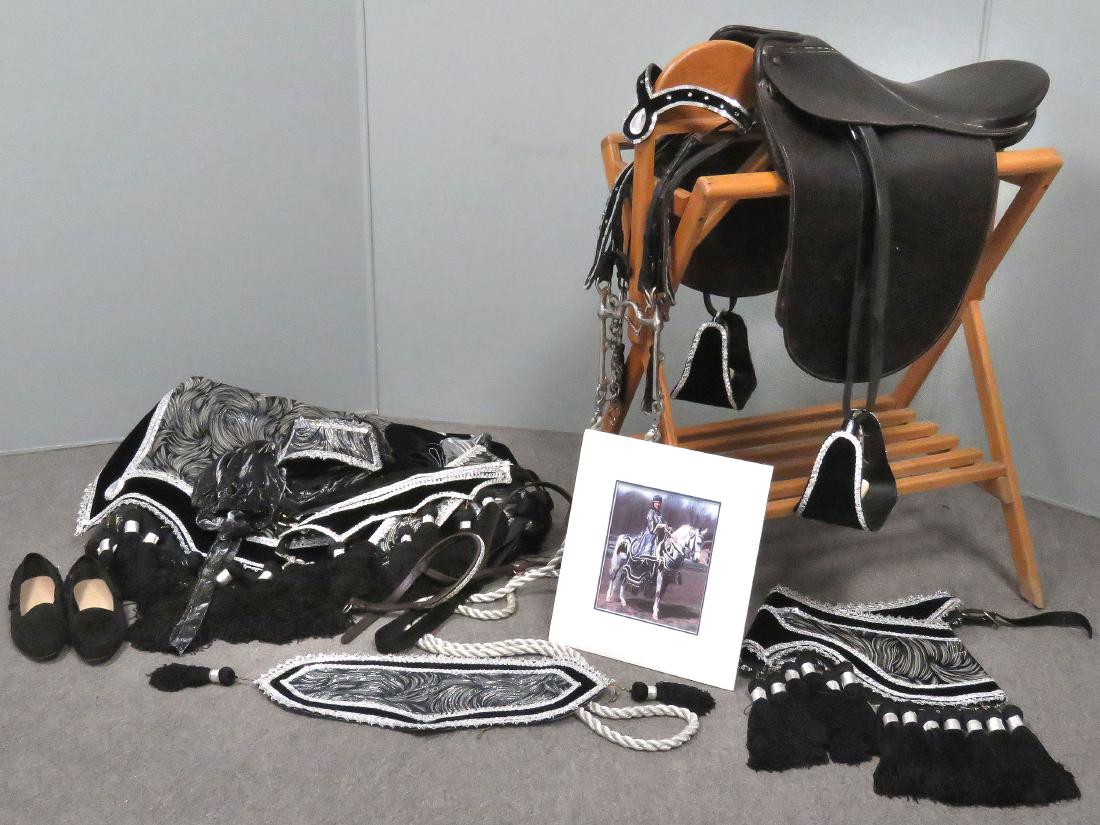 DANCING ANDALUSIAN EQUESTRIAN PARADE TROUPE (1 of 4)