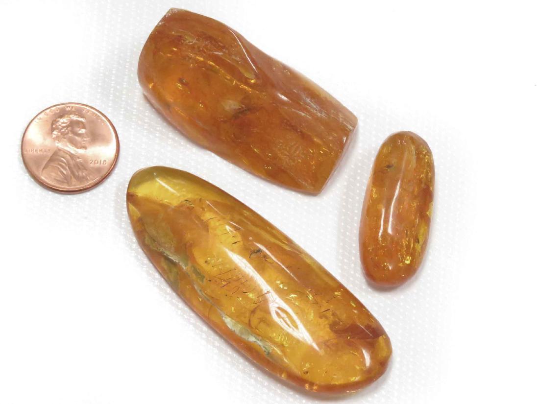 LOT (3) RUSSIAN BALTIC AMBER NUGGETS WITH INSECTS (1 of 5)