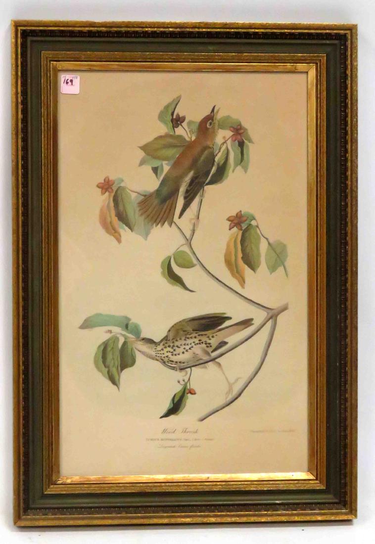 JAMES AUDUBON/J. BIEN CHROMOLITHOGRAPH, WOOD THRUSH, (1 of 1)