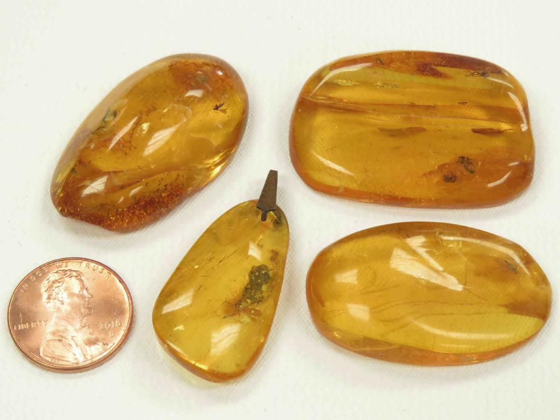 LOT (4) BALTIC AMBER SPECIMENS WITH INSECTS (1 of 5)