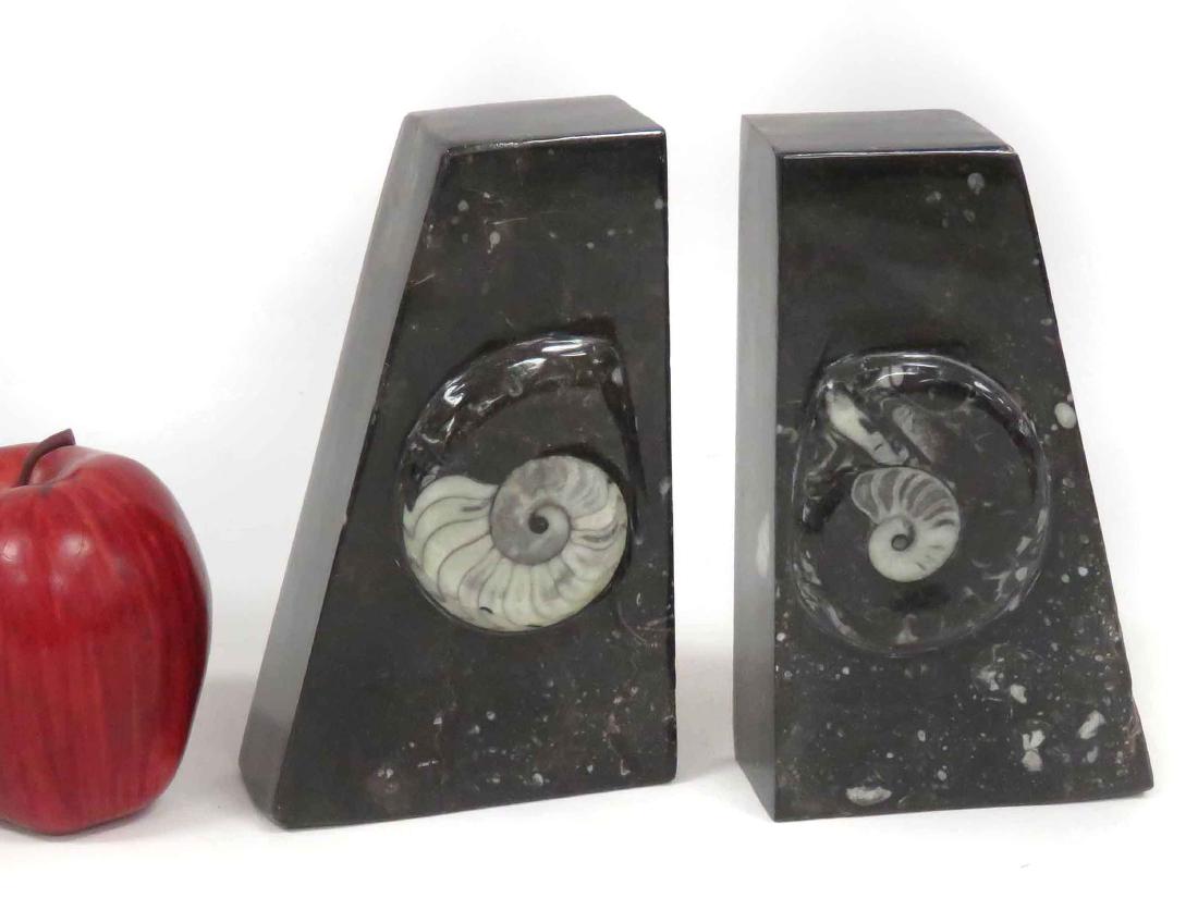 AMMONITE FOSSIL CARVED BOOKENDS. HEIGHT 6 1/2" (1 of 3)