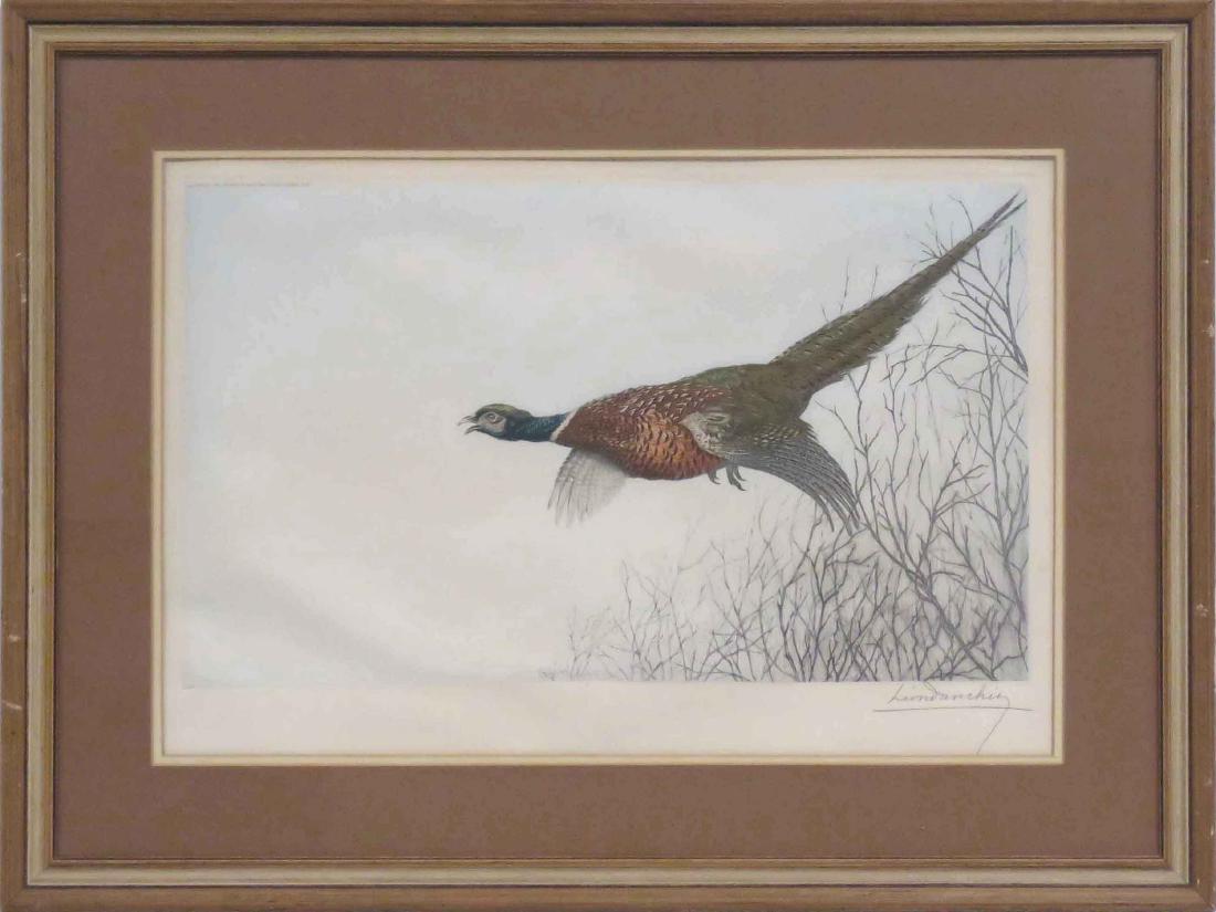 LEON DANCHIN (FRENCH 1887-1938) ETCHING/AQUATINT, RING: LEON DANCHIN (FRENCH 1887-1938) ETCHING/AQUATINT, RING NECK PHEASANT, SIGNED #232/500. SIGHT 16 X 23 1/2"; FRAMED AND GLAZED 24 1/2 X 32 1/2"