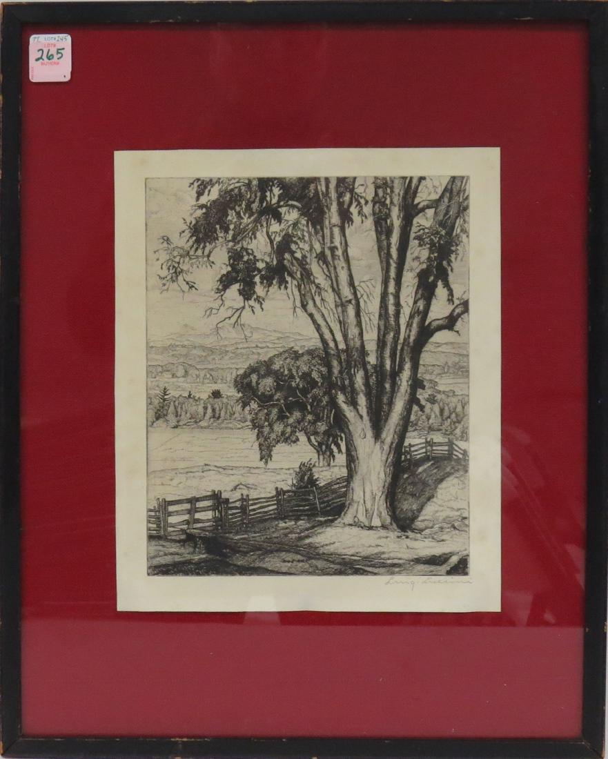 LUIGI LUCIONI (AMERICAN 1900-1988), ETCHING, "BIG ELM", (1 of 2)