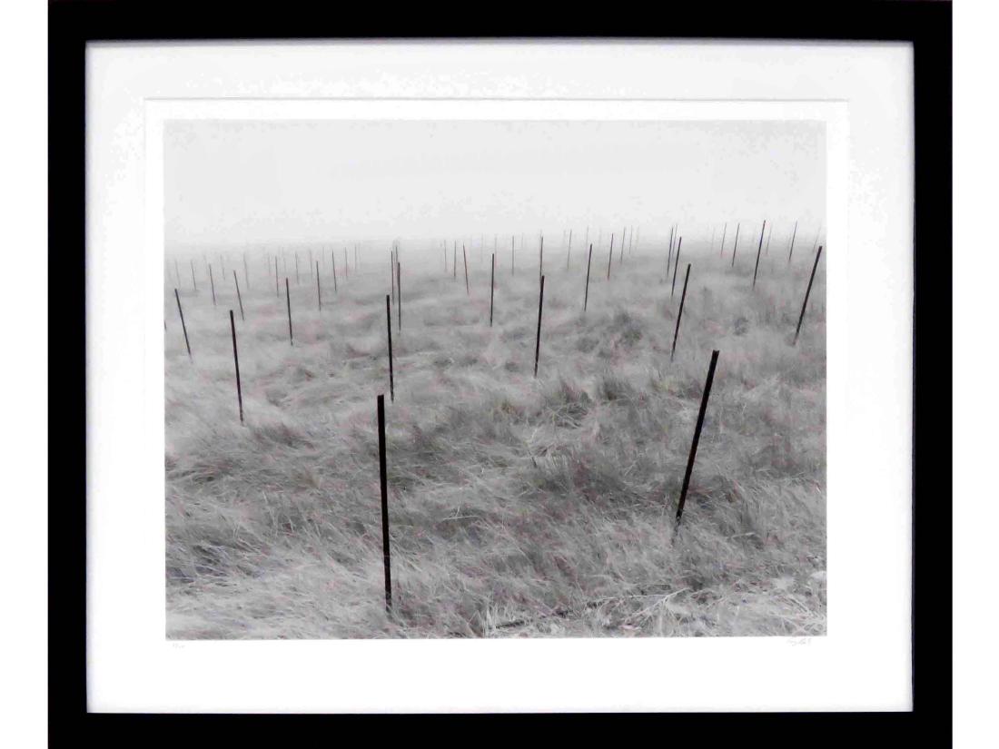 ANDY KATZ PHOTOGRAPH, "CALIFORNIA WINE", SIGNED AND: ANDY KATZ PHOTOGRAPH, "CALIFORNIA WINE", SIGNED AND #9/40. FRAMED AND GLAZED 26 X 22"