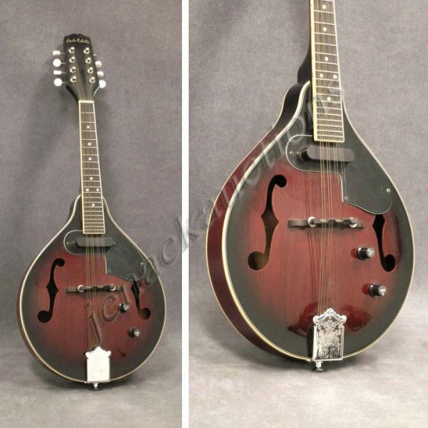 VINTAGE CARLO ROBELLI ELECTRIC MANDOLIN: VINTAGE CARLO ROBELLI ELECTRIC MANDOLIN