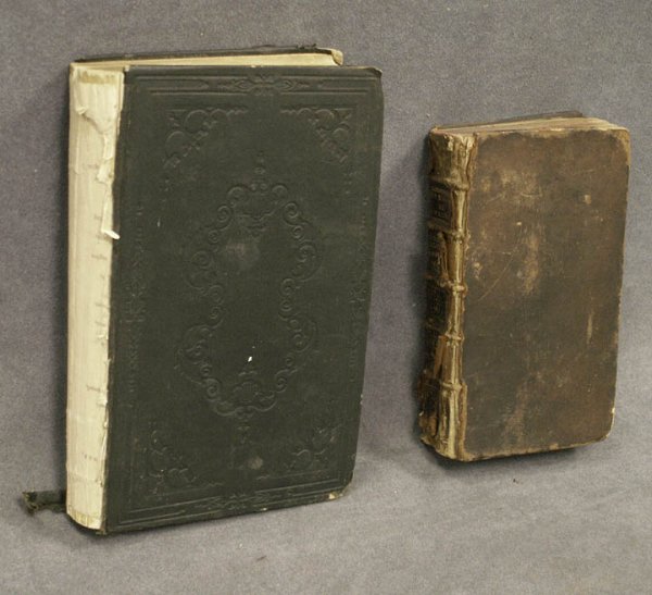 LOT (2) VOLUMES-NOTES FROM NINEVEH AND TRAVELS: LOT (2) VOLUMES-NOTES FROM NINEVEH AND TRAVELS IN MESOPOTAMIA ASSYRIA AND SYRIA, J.P. HUTCHER, 1850 LEA AN BLANCHARD 1ST EDITION (SPINE CLOTH ABSENT, FRONT BOARD LOOSE) AND LE NOUVEAU GULLIVER ON VOYA