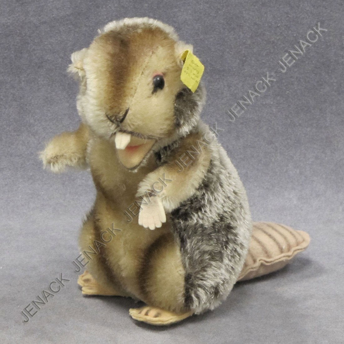 VINTAGE STEIFF BEAVER: VINTAGE STEIFF BEAVER. HEIGHT 7" (ORIGINAL BUTTON/TAG IN EAR, ONE FELT HAND MISSING AND ONE FOOT LOOSE)