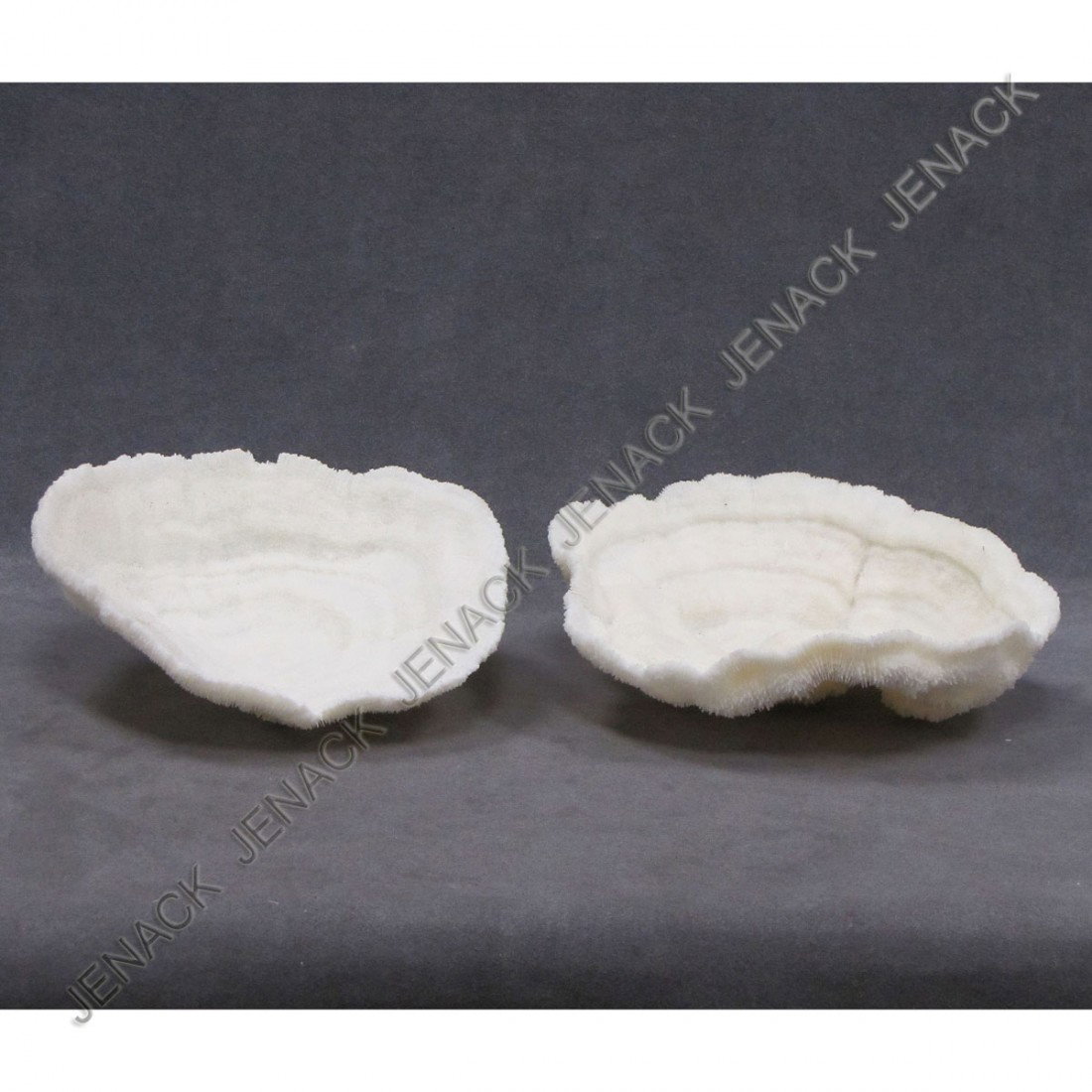 LOT (2) BOWL CORAL SPECIMEN'S: LOT (2) BOWL CORAL SPECIMEN'S. DIAMETER 8"
