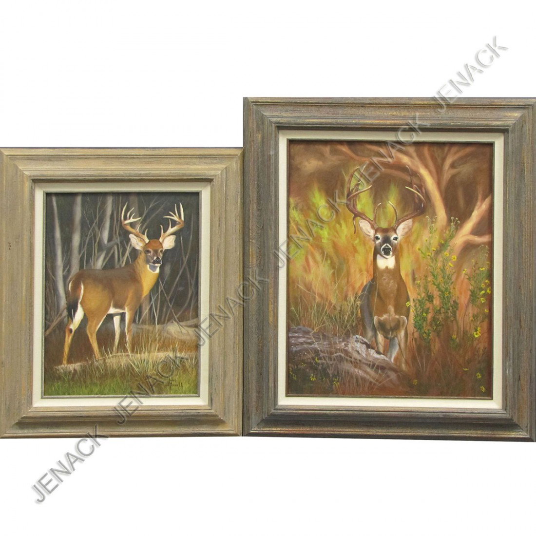 JANE MERRELL (AMERICAN 20TH CENTURY), LOT (2) OIL: JANE MERRELL (AMERICAN 20TH CENTURY), LOT (2) OIL ON CANVAS, WHITE TAIL DEER, SIGNED. FRAMED 23 X 19"; 27 X 23"