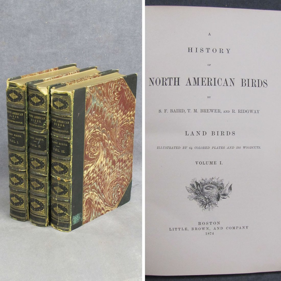 SET (3) VOLUMES-A HISTORY OF NORTH AMERICAN BIRDS: SET (3) VOLUMES-A HISTORY OF NORTH AMERICAN BIRDS, S.F. BAIRD, T.M. BREWER, AND R. RIDGWAY, LITTLE BROWN PUBLISHER, 1874 (WITH COLOR PLATES)