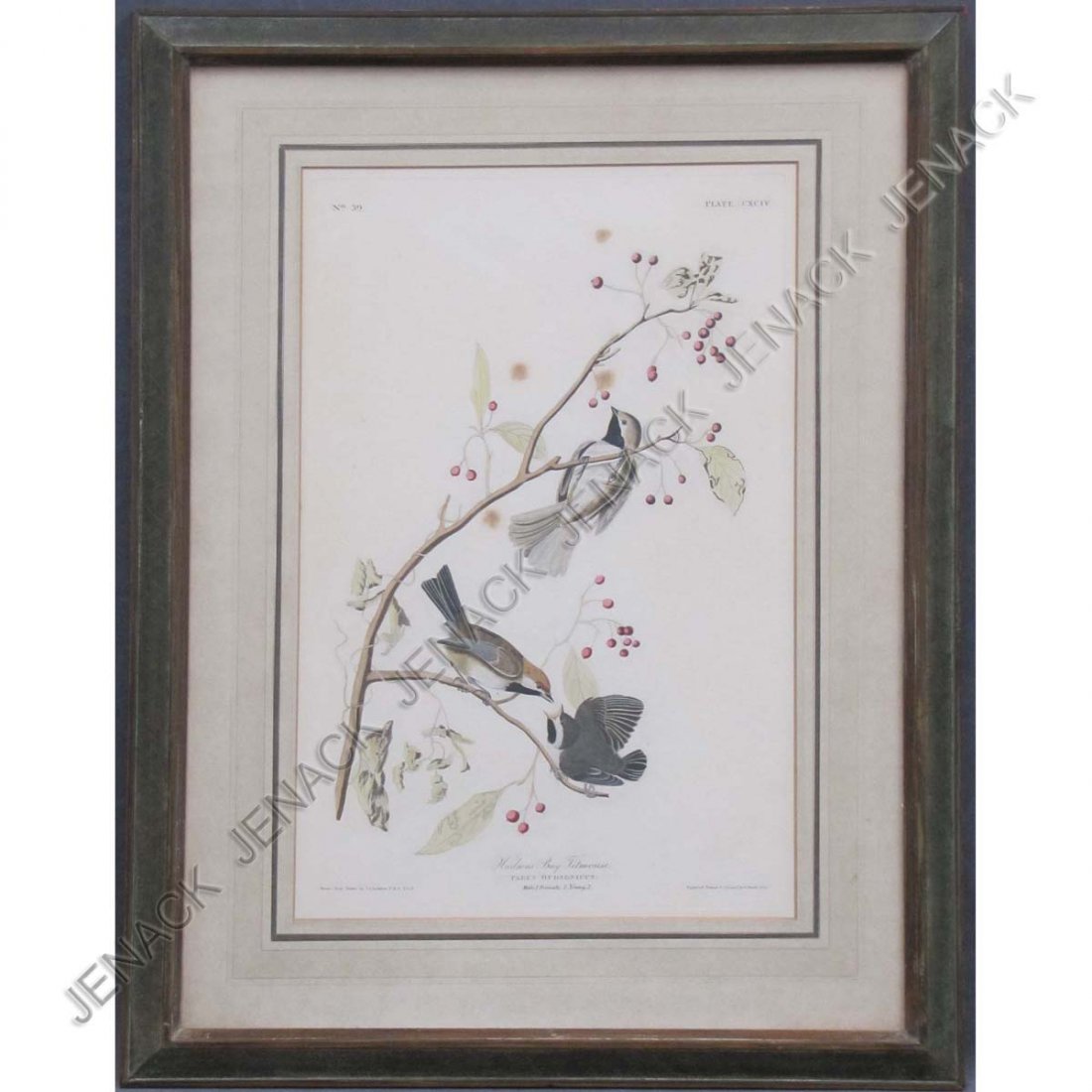 JOHN JAMES AUDUBON (AMERICAN 1785-1851) ENGRAVING: JOHN JAMES AUDUBON (AMERICAN 1785-1851), HAND COLORED ENGRAVING, "HUDSON'S BAY TITMOUSE", PLATE 194 (VAR.2) FROM BIRDS OR AMERICA, HAVELL EDITION. PLATE 19 1/2 X 12 1/4"; FRAMED AND GLAZED 29 X 22"