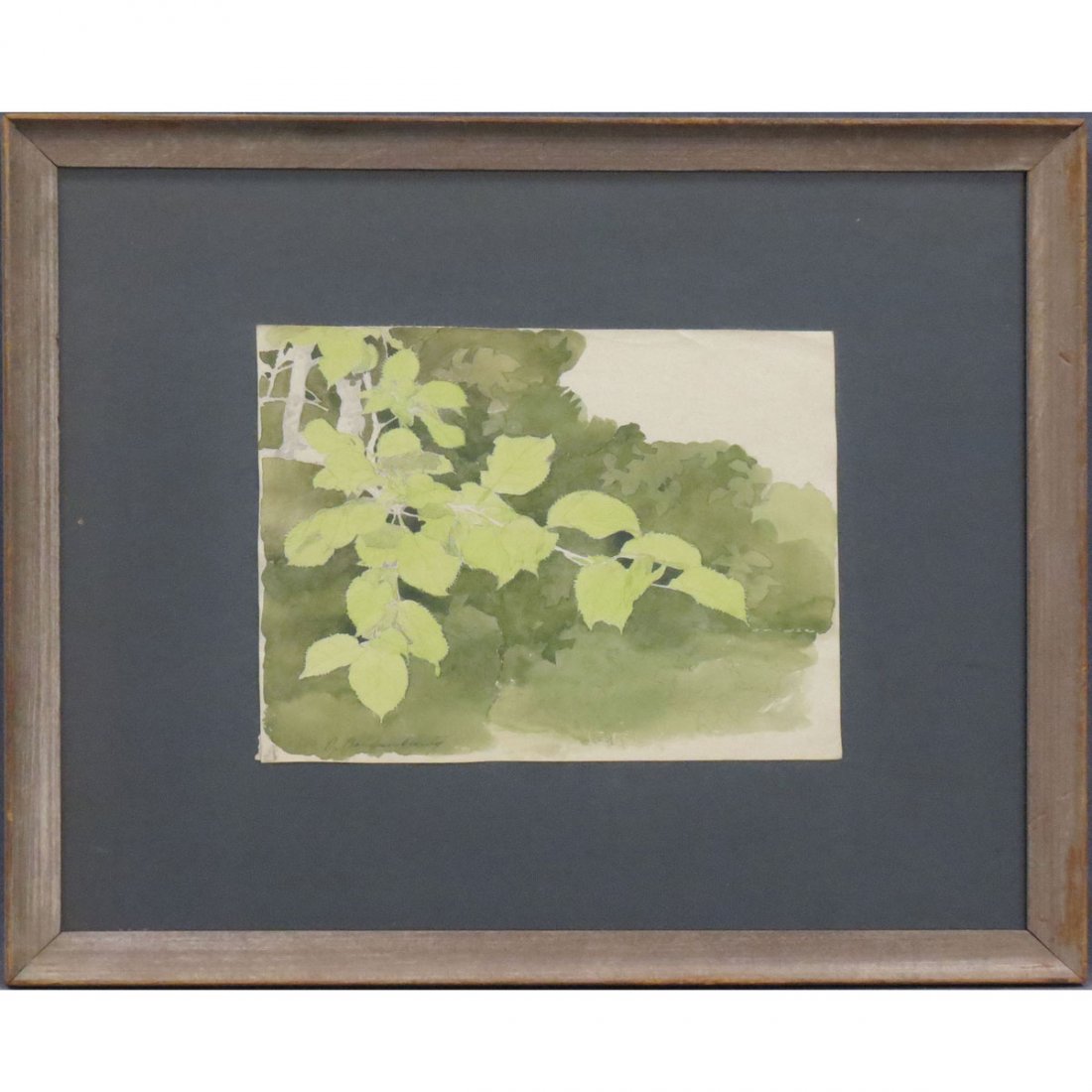 SERGEI VASILKOVSKY (UKRAINIAN 1854-1917): SERGEI VASILKOVSKY (UKRAINIAN 1854-1917), WATERCOLOR, STUDY OF LEAVES, SIGNED. SHEET 8 1/4 X 10 1/2"; FRAMED AND GLAZED-16 1/2 X 20"